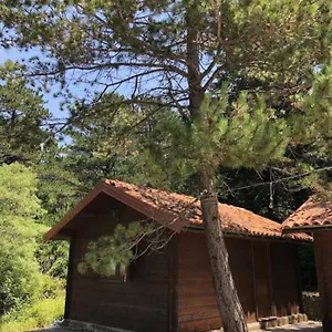 The Old Man's Chalet , Dukat Albanien